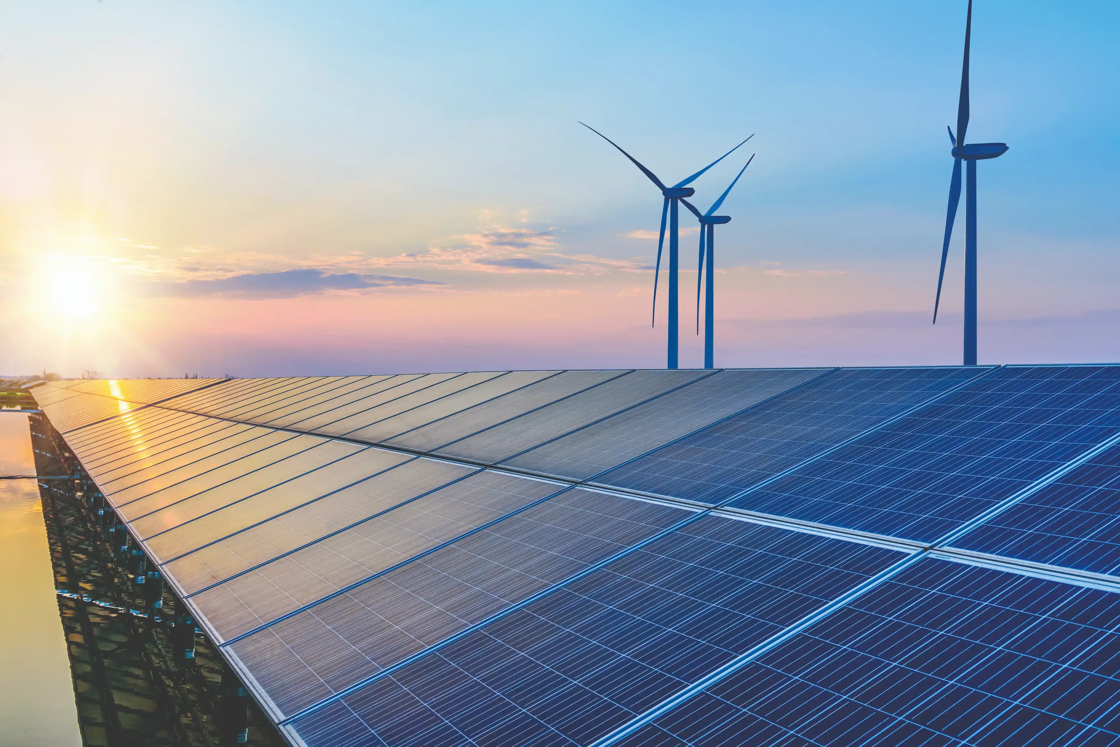 Solar panels and wind turbines